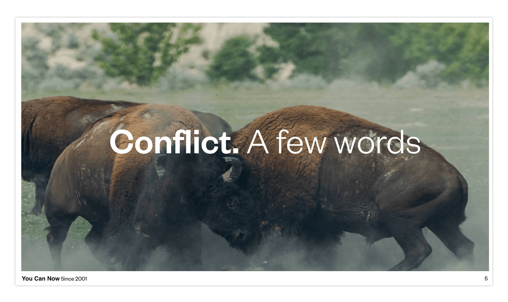 Conflict